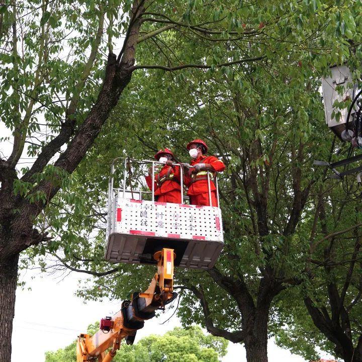 0702-青浦-4.jpg 0702-青浦-4.jpg