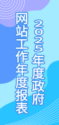 2025年政府网站工作报表