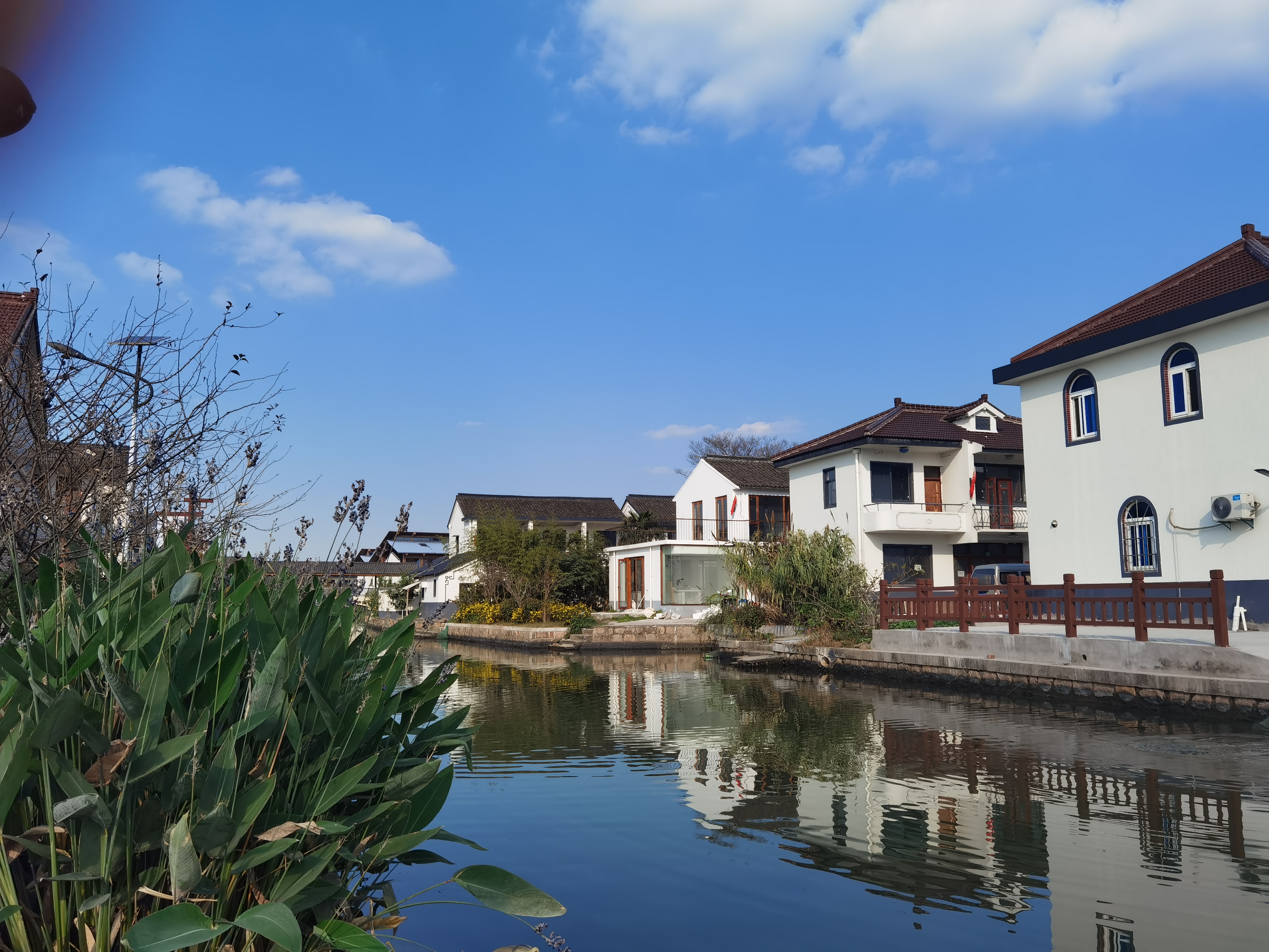 市水利处赴青浦区金泽镇开展乡村河湖治理技术调研