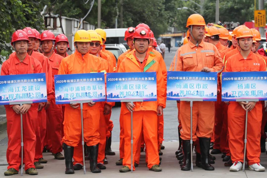 杨浦1.jpg