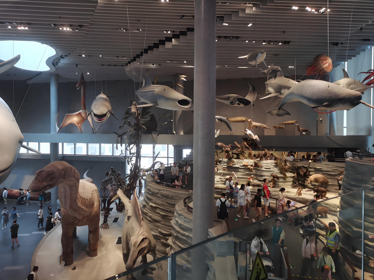 20251124“走进申海”一网通办上线（海洋中心）内网+申水 (2).png