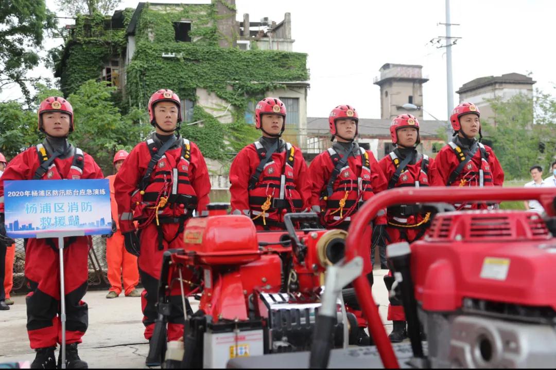 杨浦3.jpg