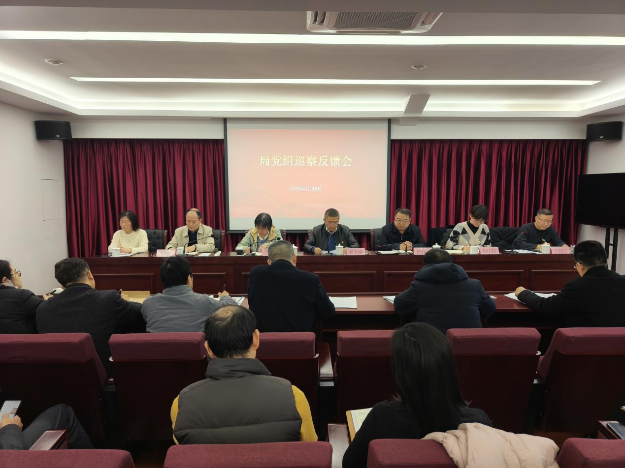 11巡查反馈.png