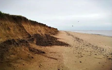 砂质海岸.jpg